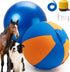 goodleben Herding Ball for Dogs 22", Durable Dual-Layer Herding Ball for Australian Shepherds,