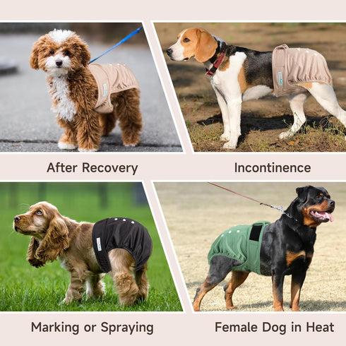 Langsprit Female Dog Diapers No Tail Hole,Reusable Puppy French Bulldog Diapers Female for Period Heat,Washable Doggy