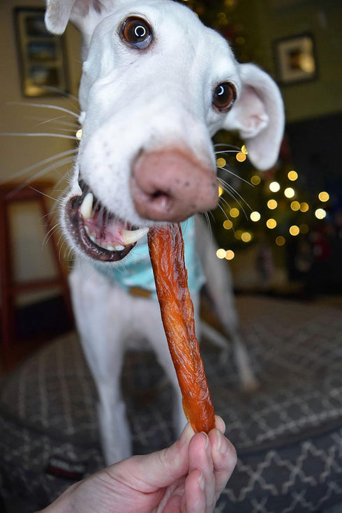 Rena's Recipe Chicken Fillet Sticks (8 Count) - Tasty Treats for Dogs