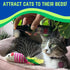 Smokey's Stash Catnip Spray for Cats, 2 Ounce Fresh Premium Maximum Potency nip Treat
