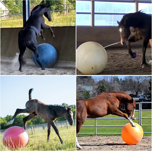 SWYIVY 40inch Horse Ball - Extra Large Toy for Adult Horses, Ideal for Pasture & Indoor Stall Boredom Relief