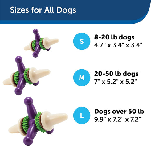 PetSafe Busy Buddy Large Dog Toy – Treat Holding Jack for Strong Chewers – Challenging with Treat Rings Included