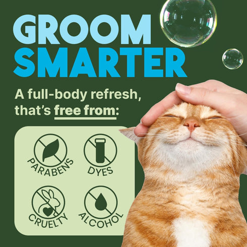 TropiClean No Rinse Waterless Cat Shampoo, Dandruff Treatment, Moisturizing Dry Shampoo, Aqua de Coco Scent