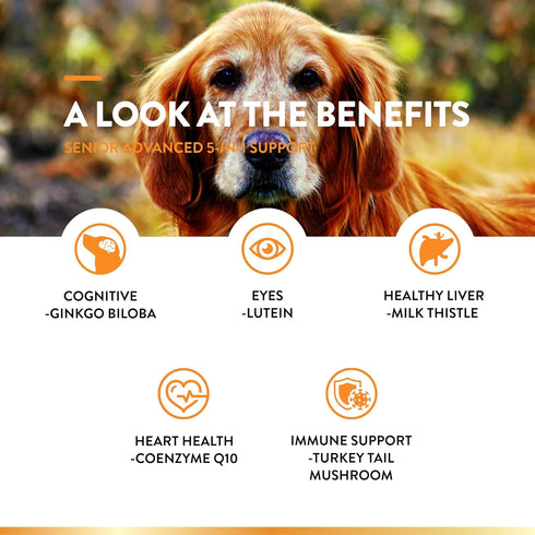 NaturVet Senior Advanced 5-in-1 Support Dog Supplement, 60 Ct – Supports Immune System, Heart, Liver, Cognitive