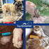 EasyGroomer Deshedding Brush for Dogs Cats | Orange | Undercoat Tool for Large and Small Pets