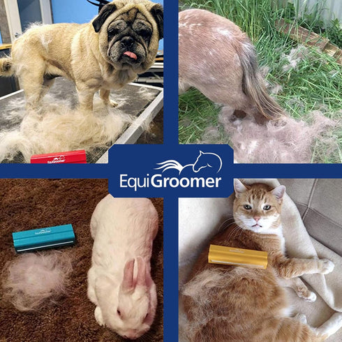 Deshedding Brush for Dogs Cats EasyGroomer | Turquoise | Undercoat Tool for Large and Small Pets