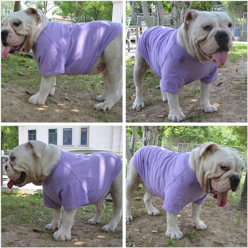 Lovelonglong Bulldog Clothes Dog T-Shirt for French Bulldog, English Bulldog, American Pit Bull (Violet B-M)