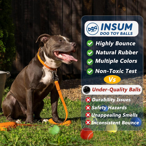 12 Pack 2.5'' INSUM Tennis Balls for Dogs - Durable Non-Toxic Outdoor Dog Toys Balls with Mesh Bag, SGS Certified