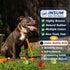 12 Pack 2.5'' INSUM Tennis Balls for Dogs - Durable Non-Toxic Outdoor Dog Toys Balls with Mesh Bag, SGS Certified