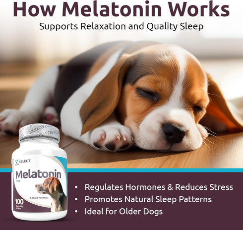 K9 Select Melatonin for Dogs, Calming Treats, Sleep Aid, 3 mg, 100 Vegetarian Capsules