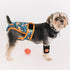 (3 Pack), Washable Dog Diapers Reusable Dog Diapers for Doggie Heat Period, Reusable Doggie Diaper for Female Dogs