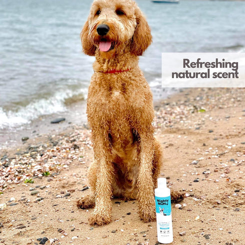 Mighty Mutt Soothing Dog Shampoo and Conditioner – Natural, Hypoallergenic & Anti-Itch Formula for Sensitive Skin, 9 fl
