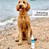 Mighty Mutt Soothing Dog Shampoo and Conditioner – Natural, Hypoallergenic & Anti-Itch Formula for Sensitive Skin, 9 fl