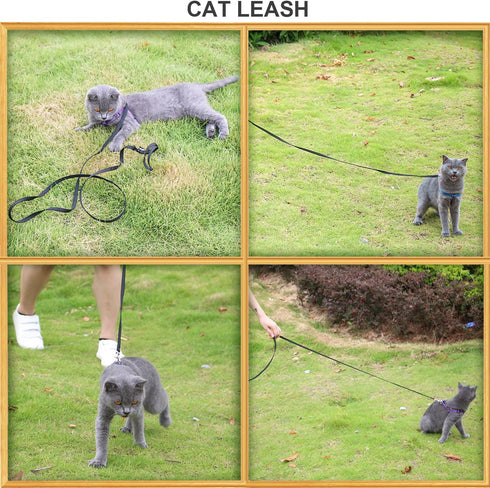 AMAGOOD 6 FT Cat Leash, Durable Traditional Style with Easy Collar Hook, Great for Cats (3/8 in x 6 ft, Black and