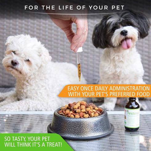 RestoraPet 1-Pack Dog & Cat Unflavored Liquid Multivitamin | Dog Arthritis Pain Relief | Hip & Joint Vitamins