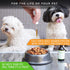 RestoraPet 1-Pack Dog & Cat Unflavored Liquid Multivitamin | Dog Arthritis Pain Relief | Hip & Joint Vitamins