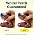 Jasper Dog Toothbrush, 360º Dog Tooth Brushing Kit, Clear 2-Pack for Dog and Cat Teeth Cleaning