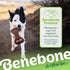 Benebone Medium Dental Durable Dog Chew Toy for Aggressive Chewers, Real Bacon, Made in USA