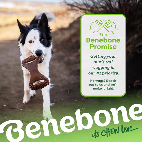 Benebone Medium Chicken Flavor Dog Chew Toy for Aggressive Chewers - USA Made