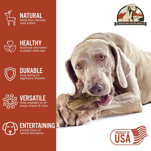 Heartland Deer Antlers for Dogs, Grade A Naturally Shed Antlers, Chew Toy for Aggressive Chewers & Teething Puppies