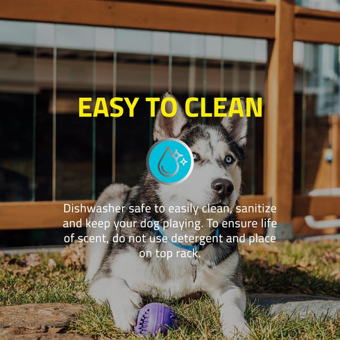 Playology Silver Dental Chew Ball Dog Toy, Medium for Senior Dogs (15-35lbs), All-Natural Pork Sausage Scent