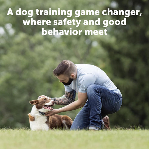 PetSafe Remote Trainer Dog Training Collar, 3 Training Modes: Tone, Vibration, 15 Levels of Static Stimulation,