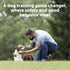 PetSafe Remote Trainer Dog Training Collar, 3 Training Modes: Tone, Vibration, 15 Levels of Static Stimulation,