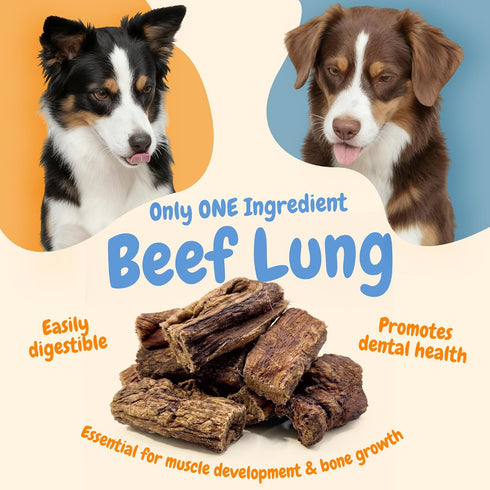 K9warehouse Packed Beef Lung Dog Treats - Two Pounds - Dehydrated & Roasted Tips - All Natural Dried Treats for Dogs