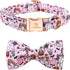 Lionheart glory Halloween Dog Collar with Pink Bowtie, Adjustable Pet Collar for Small Dogs and Puppies