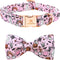 Lionheart Glory Fall Dog Collar, Adjustable Pink Bowtie Pumpkin Collar for Small Dogs Puppy