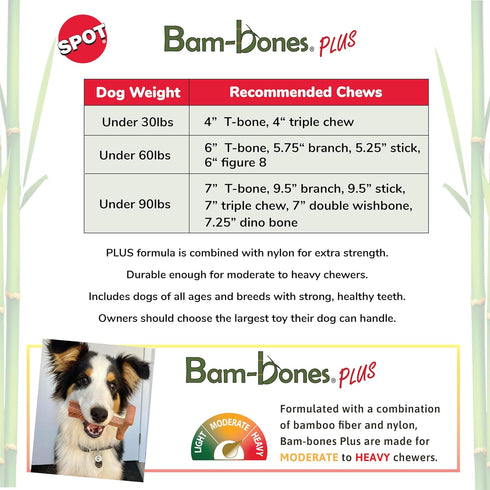 SPOT Bam-bones PLUS T Bone - Bamboo Fiber & Nylon, Durable Long Lasting Dog Chew for Aggressive Chewers – Great Toy for Adult Dogs & Teething Puppies under 90lbs, Non-Splintering, 7in, Beef Flavor