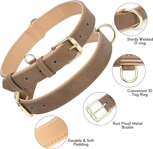 Leather Dog Collar for Medium Dogs, Soft Padded with Heavy Duty Gold Buckle, Durable & Comfortable for Daily Walking