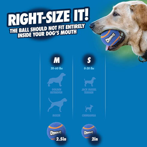 (3 Inch Pack 2, 60-100 lbs Chuckit! Squeaker Tennis Ball Dog Toy, Large Diameter) of for Breeds