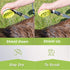 Outdoor Dog Wash Nozzle for Bathing, Quick Paw Rinses, Splash Shield Handle, Rubber Grooming Brush, Metal Connection