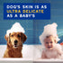 16 oz, DOUXO Skin & Coat SPA - Ultra-Safe Oatmeal Dog Shampoo, fl Cleans and Deeply Hydrates The Skin, Leaves The Coat