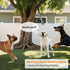LOOBANI Outdoor Bungee Tug Toy, Dog Toy Hanging from Tree for Small to Large Dogs, Interactive Exercise Play Cord