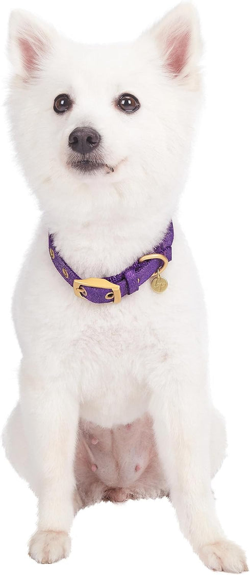 Blueberry Pet 6 Colors Designer Mixed Metallic Thread Adjustable Dog Collar, Dazzling Tinsel Purple with Metal Buckle,
