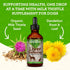 Animal Essentials Liver Defense for Dogs & Cats, Liquid Supplement for Liver Support, 2 Fl Oz