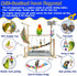 kathson Bird Playground,Parakeet Play Stand,Parrots Play Gym with Food Bowls,Cockatiel Playstand with Chewing&Exercise
