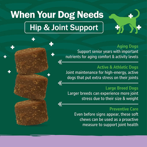 (90 Petnc Hip & Joint Health Supplement for Dogs Chews), Glucosamine Chondroitin MSM Dog Chews with Hyaluronic Acid