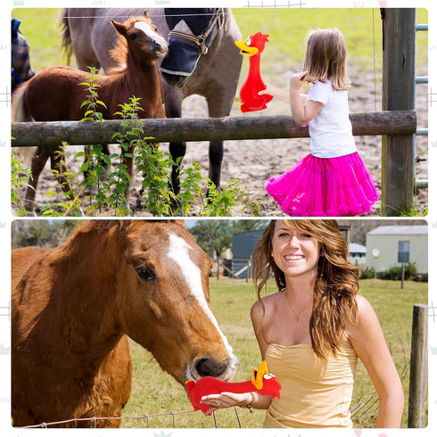 Hungdao 2 Pcs Horse Toys - 11 Inches Latex Rubber Chicken Dog Toy to Reduce Separation Anxiety, Screaming Chicken Toy