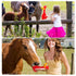 Hungdao 2 Pcs Horse Toys - 11 Inches Latex Rubber Chicken Dog Toy to Reduce Separation Anxiety, Screaming Chicken Toy