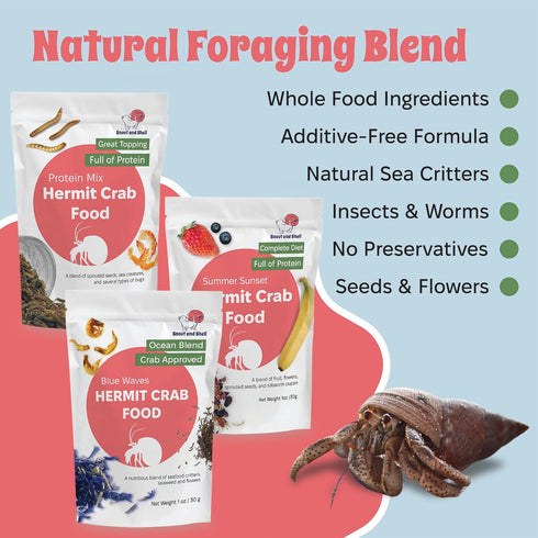 Pack Summer Sunset Snout and Shell Hermit Crab Food Variety Blue Waves, Protein Mix & High-Protein Whole Food Diet