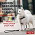 Rolled Leather Dog Leash - 4Ft * 0.5 in for Small Medium Large Dogs, Heavy Duty for Outdoor Walking, Running, Training