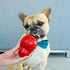 Nylabone Strong Chew Cone Stuffable Chew Toy for Dogs, Bacon Flavored Fillable Treat Toy, Small/Regular - Up to 25 Ibs
