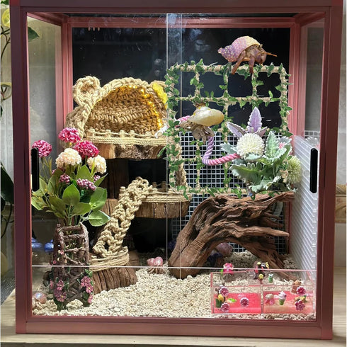 Delllala SetHermit Hermit Crab Climbing Toys Crab Habitat Tank Accessories,Also for Small Lizard Chameleon Leopard