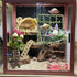 Delllala SetHermit Hermit Crab Climbing Toys Crab Habitat Tank Accessories,Also for Small Lizard Chameleon Leopard