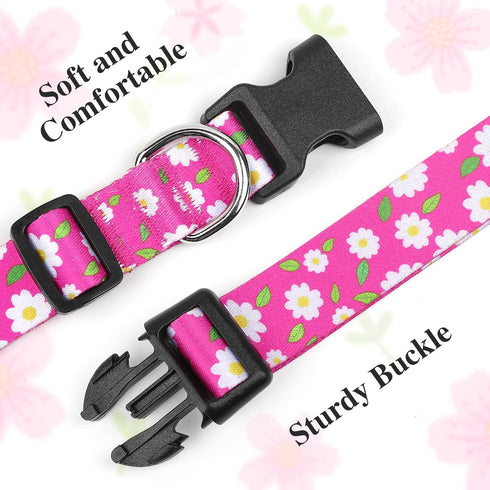 BiPawTi Soft Small Girl Dog Collar with Floral Patterns, Cute Daisy Collar for Summer Dogs (Pink, S)