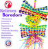 Bonka Bird Toys 1730 Foraging Heart Medium, 9” x 6” - For Conures, Cockatiels, Parakeets, and Similar Breeds
