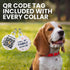 Soft Round Collars Rolled Leather Dog Collar, ID Tag for Small Medium Large Dogs (7-10 inch, Brown)